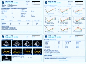 Successful Pregnancy Outcome in a Fetus with CPAM: Close Monitoring Leads to Healthy Delivery